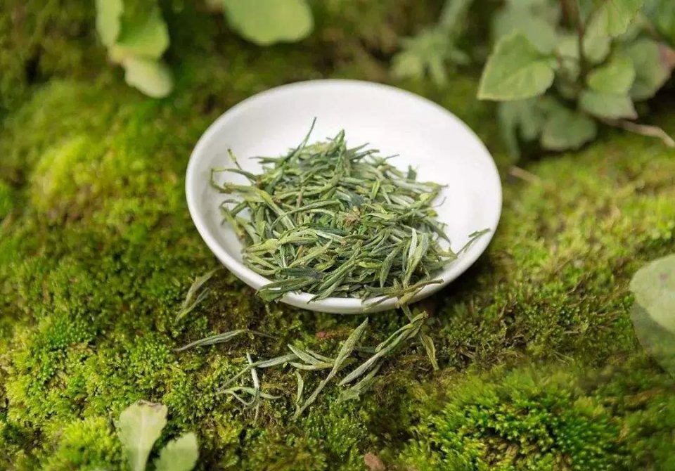 新鲜绿茶如何正确保存？