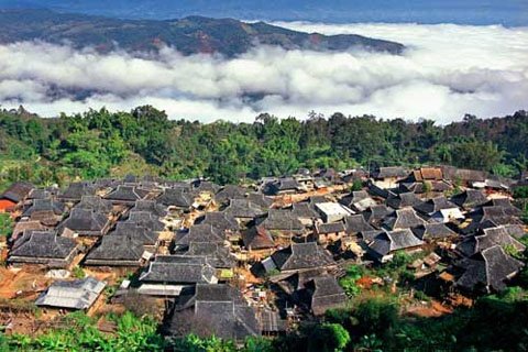 2019勐腊（国际）贡茶文化节即将开场