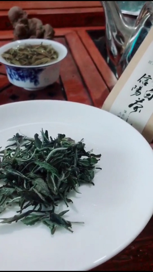 新信阳白茶是不是就跟毛尖绿茶差不多？