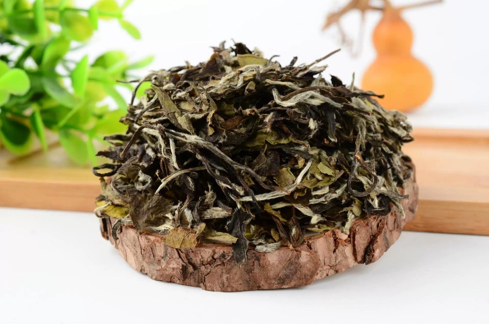 在白茶转化中，哪些因素起了重要作用呢？